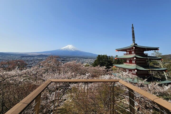 Private Mount Fuji Day Trip from Tokyo: Lakes, Pagodas & Houtou photo 5