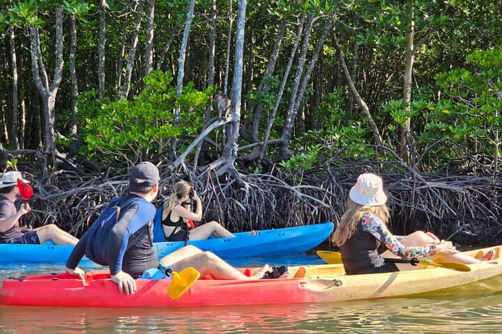 Half-Day Mangrove Kayak & Longtail Boat Tour in Koh Lanta — Thung Yee Peng Eco-Trip photo 2