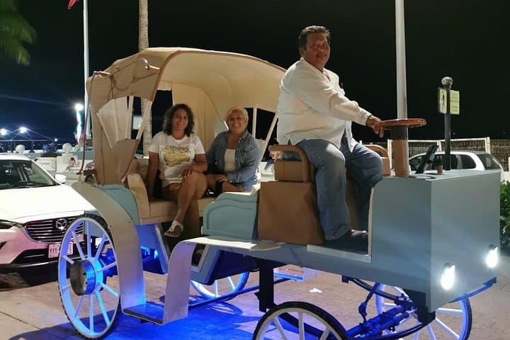 Cozumel Heart Carriage Tour — Electric and Horse-Drawn Island Ride photo 3