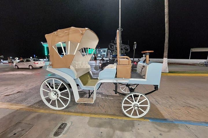 Cozumel Heart Carriage Tour — Electric and Horse-Drawn Island Ride photo 4