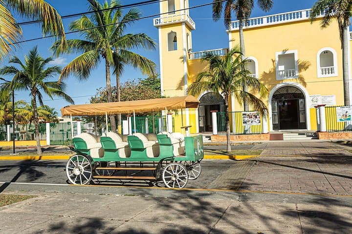 Cozumel Heart Carriage Tour — Electric and Horse-Drawn Island Ride photo 1