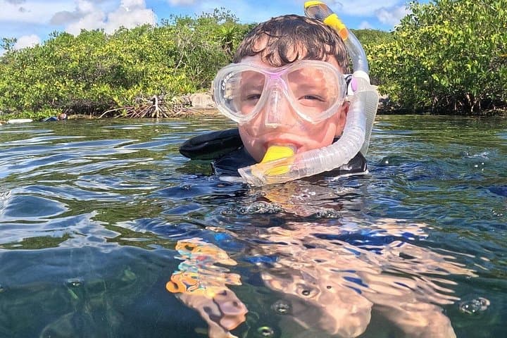 Grand Snorkeling Riviera Maya Private Tour: Cenotes, Turtles & Coral Reefs photo 3