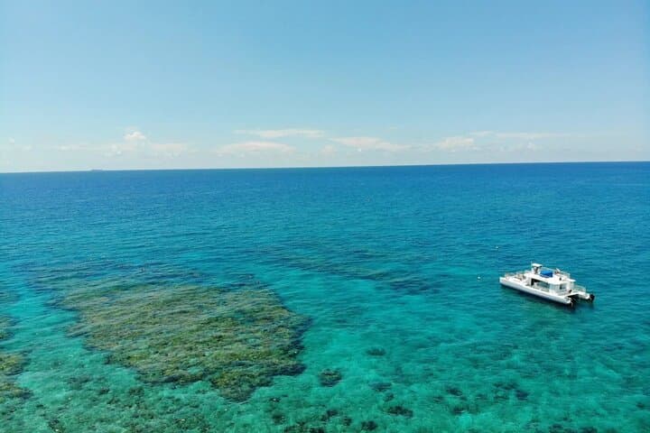 Key West Dolphin-Watching Cruise & Reef Snorkel with Unlimited Beer photo 3