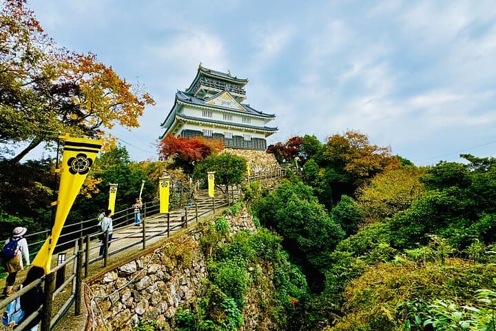 Half-Day Gifu Private Tour: Gifu Castle, Great Buddha & Kawaramachi photo 2