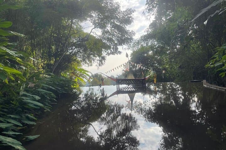 Doi Suthep to Doi Inthanon Day Tour — Wachirathan Falls, Pha Dok Sew Hike & Twin Pagodas photo 3