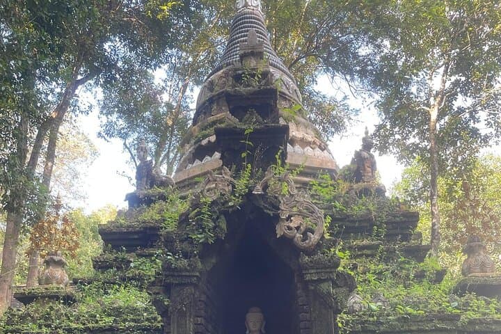 Doi Suthep to Doi Inthanon Day Tour — Wachirathan Falls, Pha Dok Sew Hike & Twin Pagodas photo 4