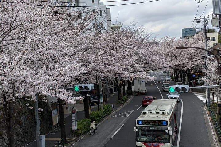 Nakano Local Food & E‑Bike Tour — Tokyo Neighborhood Cycling & Street Eats photo 5