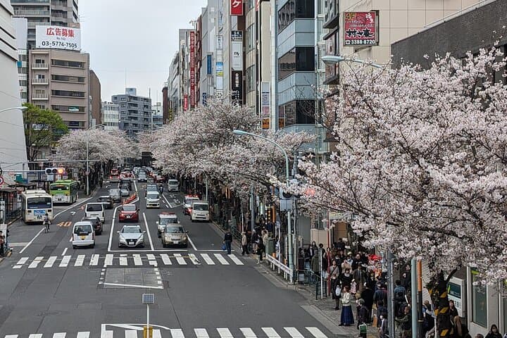 Nakano Local Food & E‑Bike Tour — Tokyo Neighborhood Cycling & Street Eats photo 6