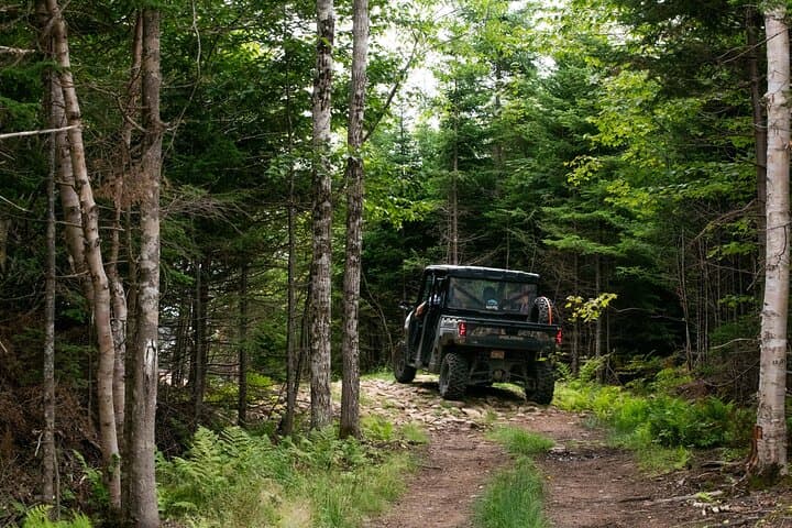 Cape Breton UTV Shore Excursion — Hunter's Mountain Side-by-Side Tour from Sydney photo 4