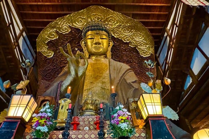 Half-Day Gifu Private Tour: Gifu Castle, Great Buddha & Kawaramachi