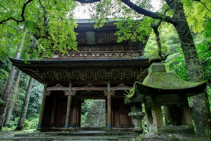 YokaBus Fukuoka Day Tour: Peonies, Shrines, Matcha & Local Wine Tasting photo 2