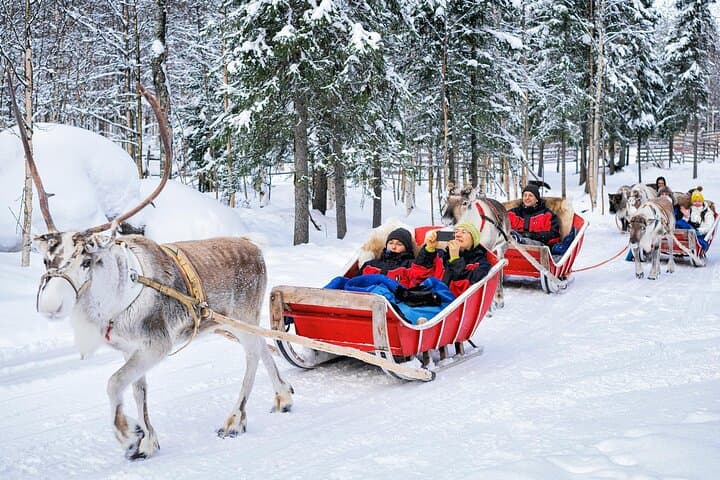 Reindeer Sled Safari in Rovaniemi: Arctic Farm Ride & Fireside Stories photo 2