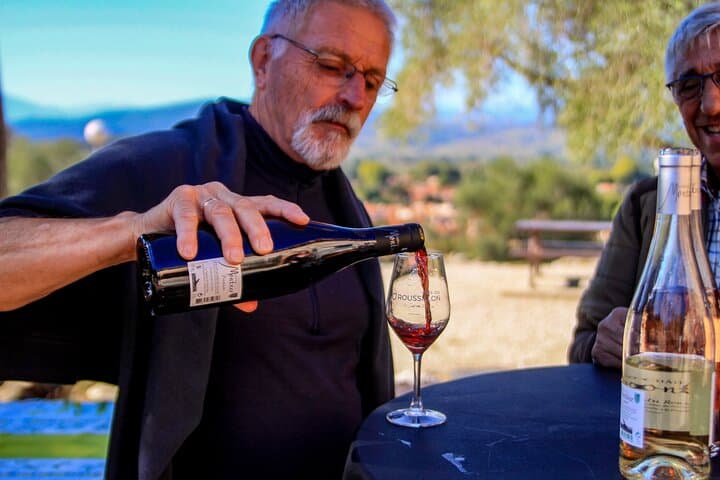 Maury Vineyard Walk: Cathar Trails, Cellars & VIP Wine Tasting