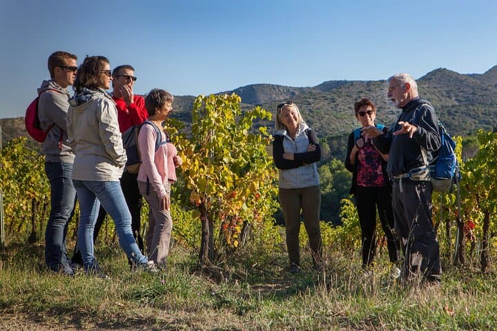 Maury Vineyard Walk: Cathar Trails, Cellars & VIP Wine Tasting photo 2