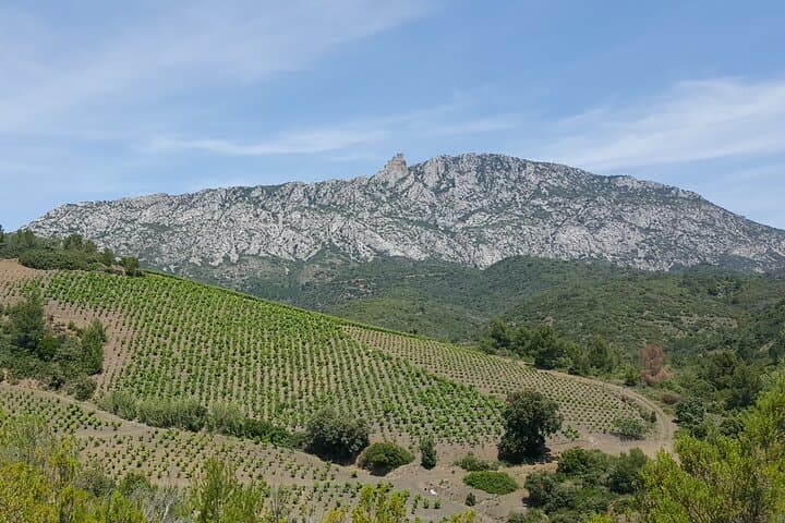 Maury Vineyard Walk: Cathar Trails, Cellars & VIP Wine Tasting photo 3