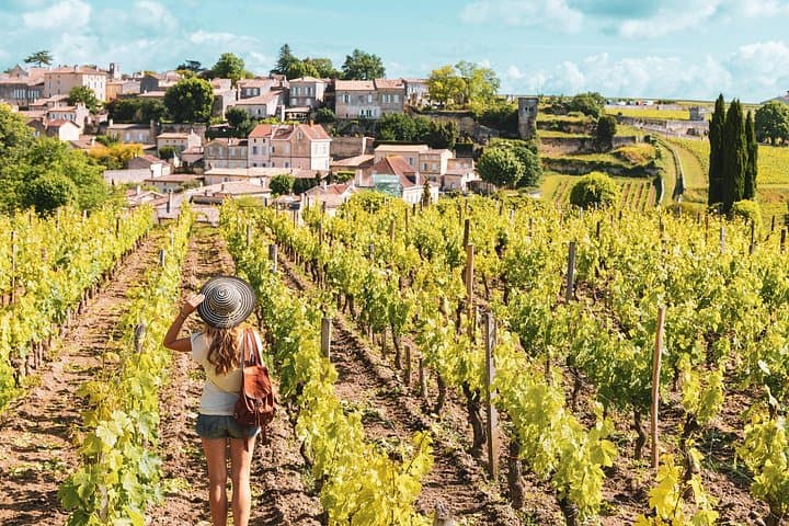 Saint-Émilion and Pomerol Wine Tour: Half-Day Fine Wines Tasting and Village Walk photo 1