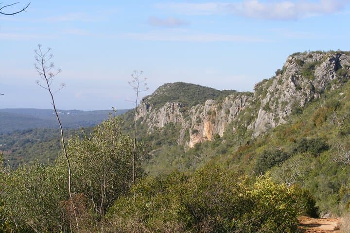 Rocha da Pena Guided Tour: Limestone Ridges, Rare Flora & Bonelli’s Eagles