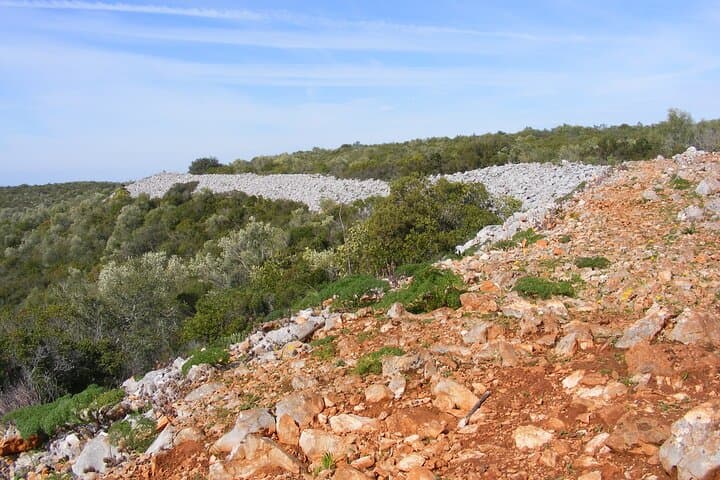 Rocha da Pena Guided Tour: Limestone Ridges, Rare Flora & Bonelli’s Eagles photo 2