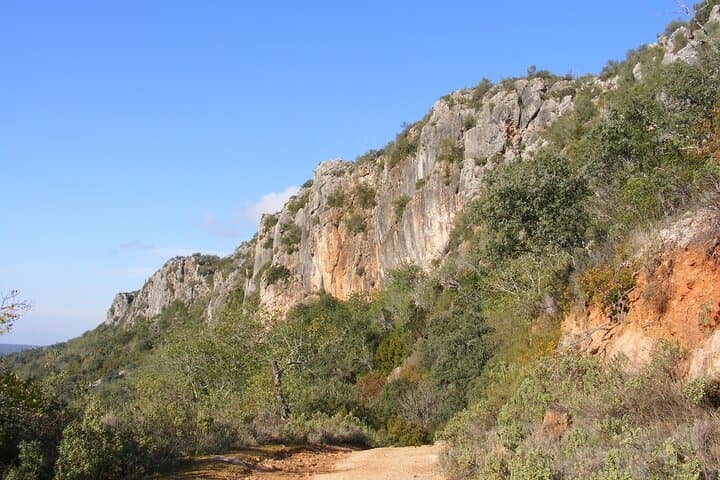 Rocha da Pena Guided Tour: Limestone Ridges, Rare Flora & Bonelli’s Eagles photo 3