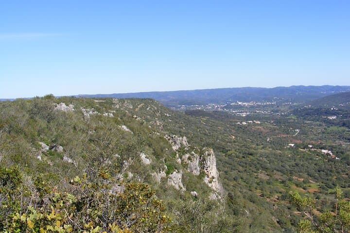 Rocha da Pena Guided Tour: Limestone Ridges, Rare Flora & Bonelli’s Eagles photo 4