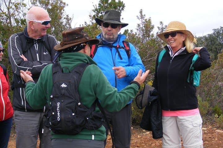 Rocha da Pena Guided Tour: Limestone Ridges, Rare Flora & Bonelli’s Eagles photo 6