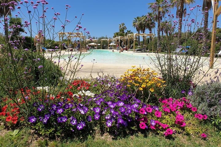 Inside Alghero’s Butterfly House: Tropical Biosphere Experience Near Porto Conte photo 4
