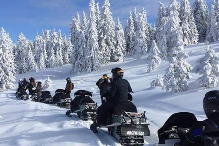 Snowmobile and ATV Private Day Trip from Bucharest to Sinaia & Azuga