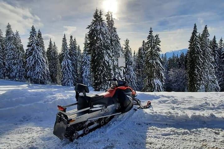 Snowmobile and ATV Private Day Trip from Bucharest to Sinaia & Azuga photo 4
