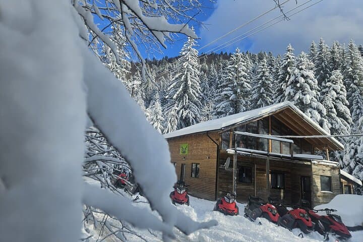 Snowmobile and ATV Private Day Trip from Bucharest to Sinaia & Azuga photo 5