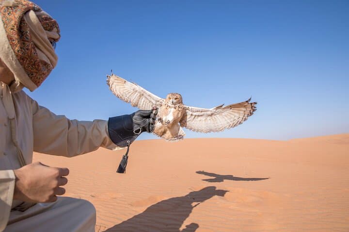 Dubai Desert Buggy, Camel & Dune Bashing with VIP Camp and BBQ photo 4