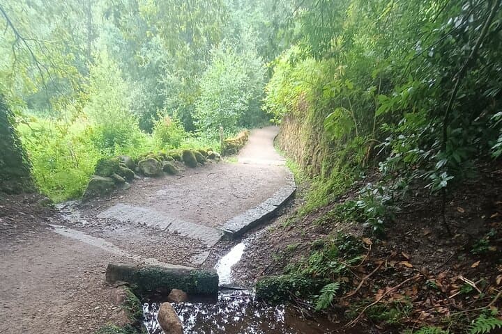 Last 100 km Camino Portugués: Tui to Santiago — 7-Day Self-Guided Pilgrimage photo 5
