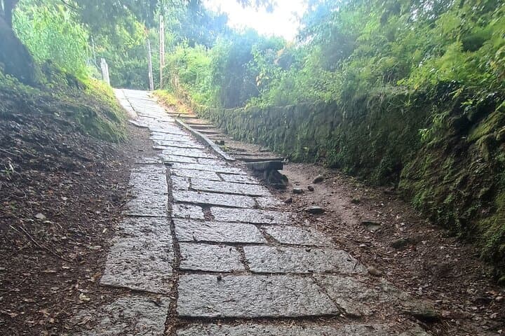 Last 100 km Camino Portugués: Tui to Santiago — 7-Day Self-Guided Pilgrimage photo 3