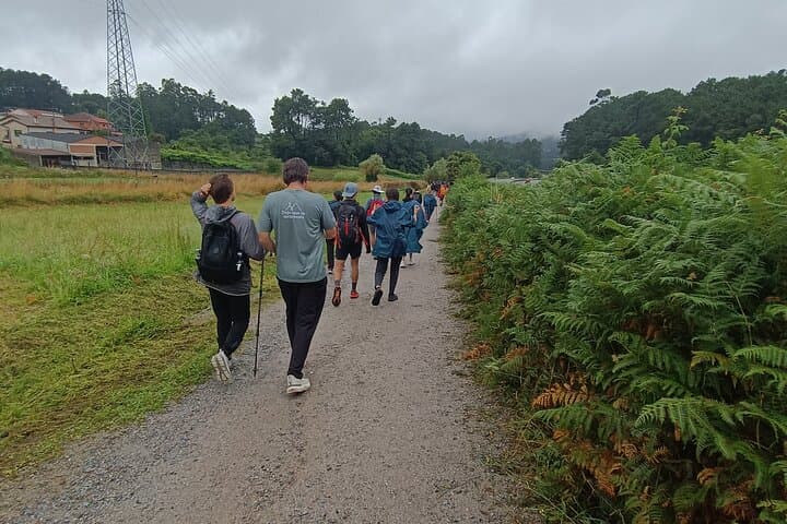 Last 100 km Camino Portugués: Tui to Santiago — 7-Day Self-Guided Pilgrimage photo 6