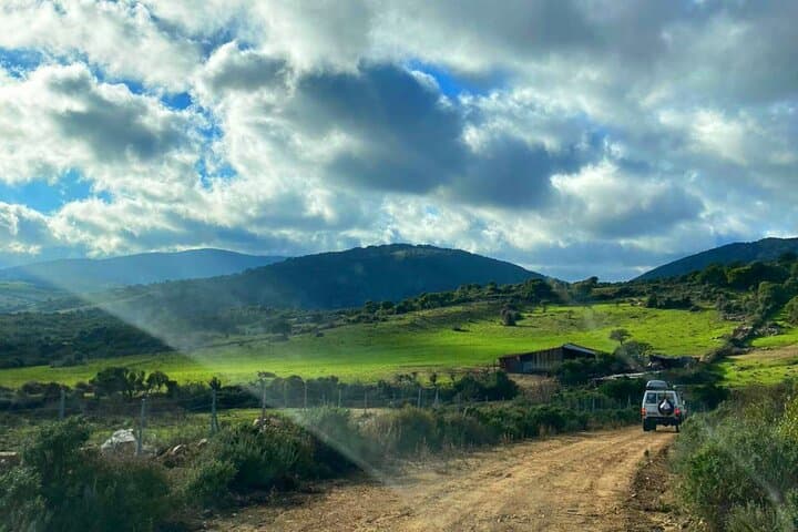 Jeep Tour to Mount Limbara from Tempio Pausania — 4-Hour Off‑Road Adventure in Gallura
