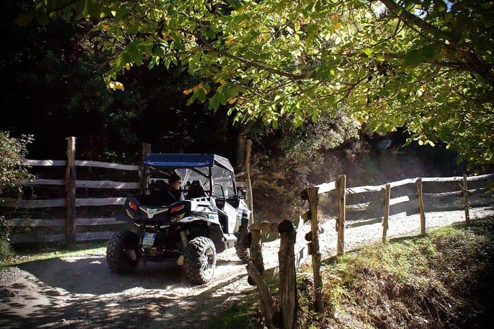 Gennargentu Buggy Tour from Aritzo: 4x4 Trails to a 1400m Plateau photo 3