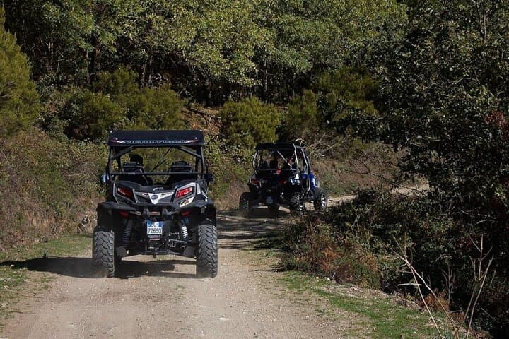 Gennargentu Buggy Tour from Aritzo: 4x4 Trails to a 1400m Plateau photo 4
