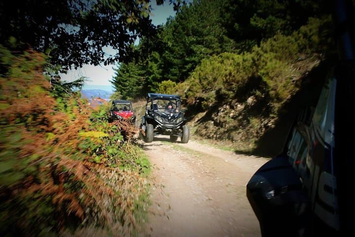 Gennargentu Buggy Tour from Aritzo: 4x4 Trails to a 1400m Plateau photo 6