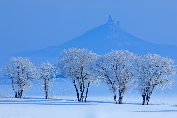 Bohemian Highlands 4x4 Winter Tour from Prague — Castles, Vineyards & Farm Visits photo 3