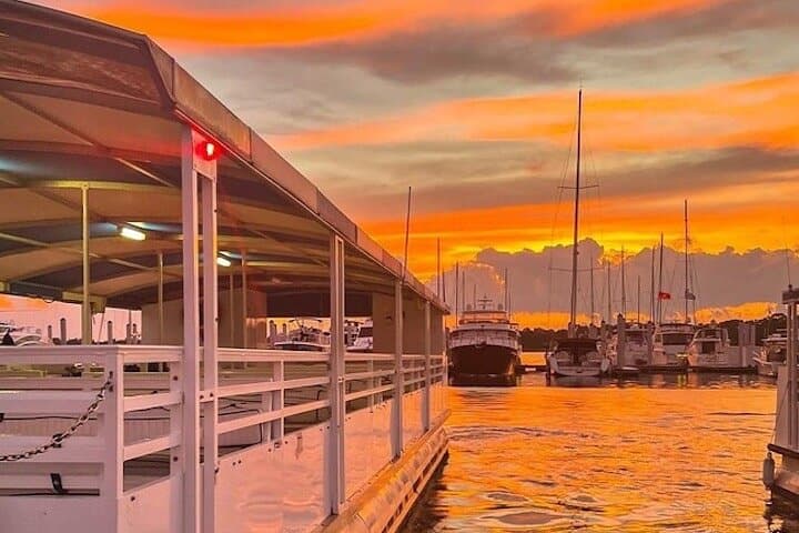 Hilton Head Sunset Dolphin Cruise: Dolphin Watching & Lowcountry Evening Views photo 3