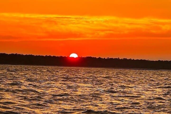 Hilton Head Sunset Dolphin Cruise: Dolphin Watching & Lowcountry Evening Views photo 5