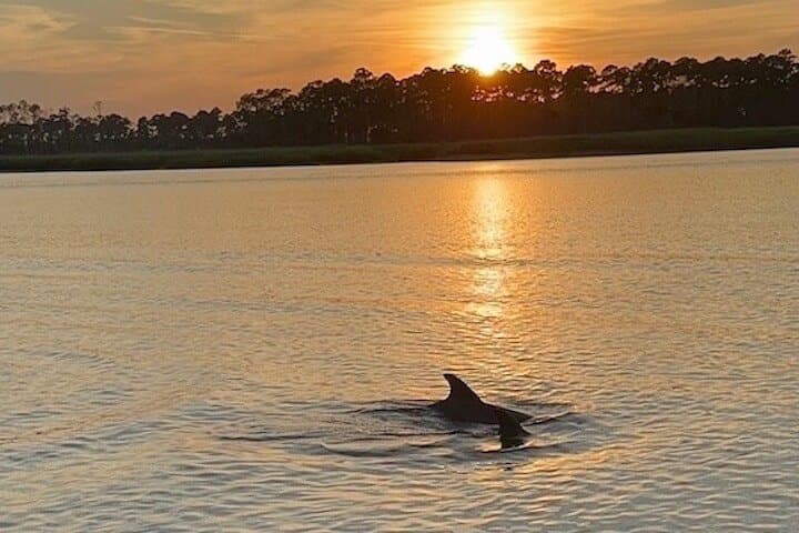 Hilton Head Sunset Dolphin Cruise: Dolphin Watching & Lowcountry Evening Views photo 2