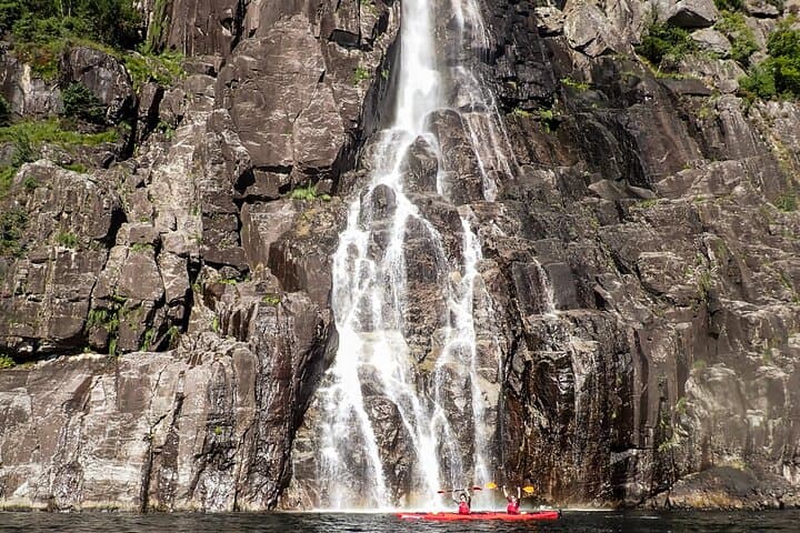 Paddling Lysefjord: Half-Day Kayak Safari to Pulpit Rock photo 3