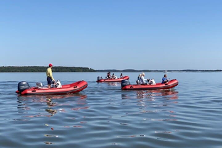 Hilton Head Sunset Dolphin Cruise: Mini-Boat Dolphin & Sightseeing Tour photo 6
