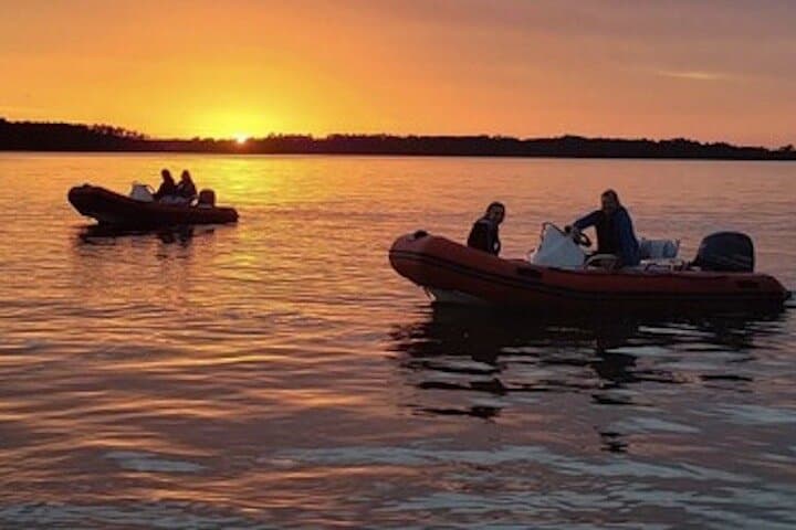 Hilton Head Sunset Dolphin Cruise: Mini-Boat Dolphin & Sightseeing Tour photo 4