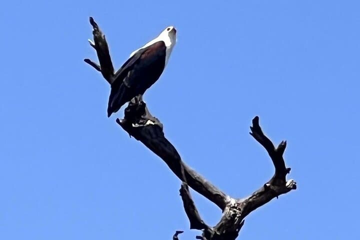 Lake Naivasha and Hell's Gate Day Trip — Bike, Hike & Crescent Island Boat Safari photo 2