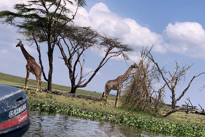 Lake Naivasha and Hell's Gate Day Trip — Bike, Hike & Crescent Island Boat Safari photo 3