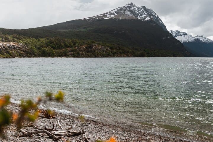 Ushuaia Full-Day: Trek the Coastal Path and Canoe Lapataia Bay in Tierra del Fuego photo 6