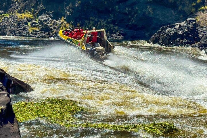 Racing the Zambezi: Jetboat Adventure from Victoria Falls with Transfers photo 6