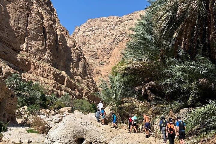 Private 6-Day Oman Adventure: Wadis, Deserts, and Green Mountains from Muscat photo 4