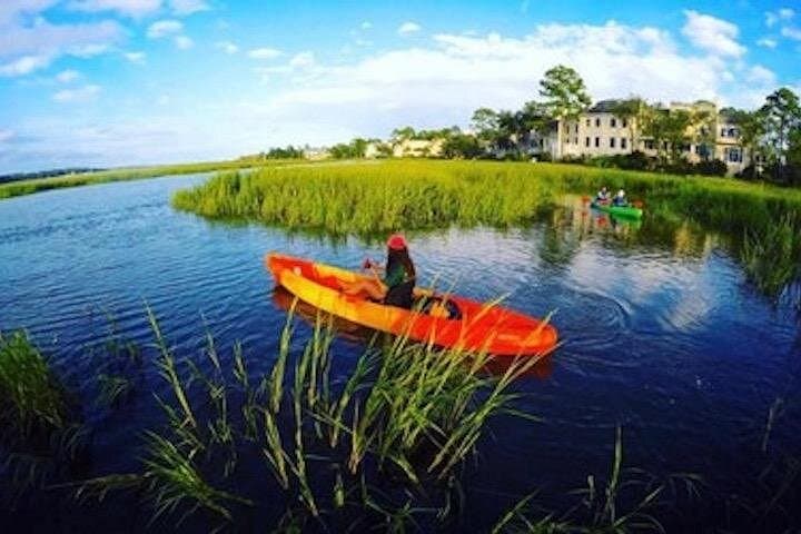 Hilton Head Morning Kayak Eco Tour — Broad Creek Wildlife & Dolphin Paddle photo 4